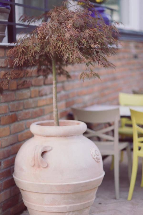 Villa Piazzetta Bacău エクステリア 写真
